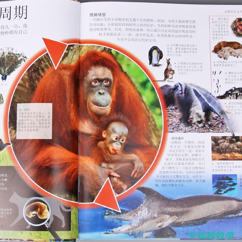 《动物百科：带您了解地球上各种动物的生存挑战及应对方法》 (动物百科视频)
