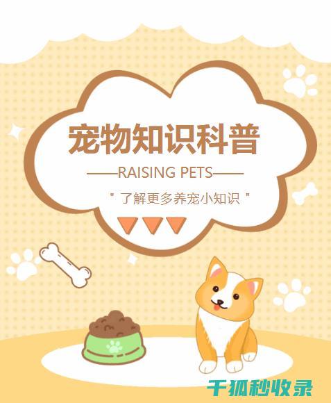 宠物生活常识：如何为宠物选择合适的宠物用品 (宠物生活常识大全)
