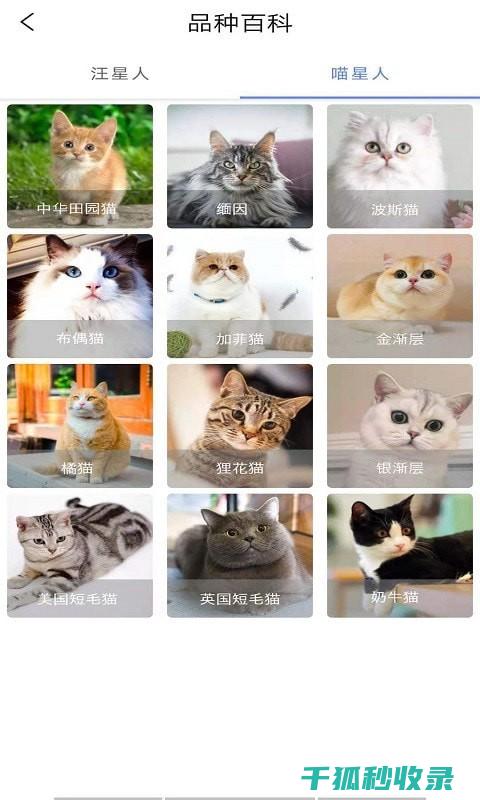 宠物生活常识大全