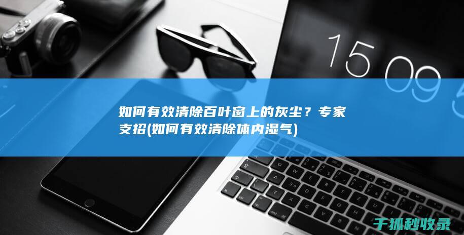 如何有效清除百叶窗上的灰尘？专家支招 (如何有效清除体内湿气)