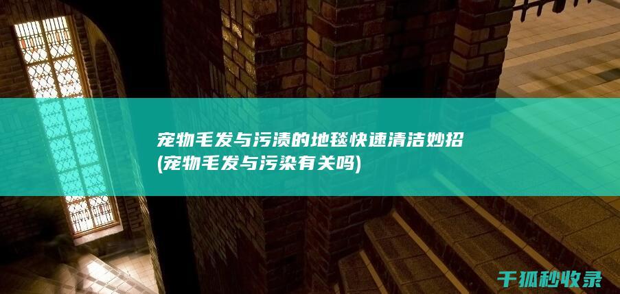 宠物毛发与污渍的地毯快速清洁妙招 (宠物毛发与污染有关吗)