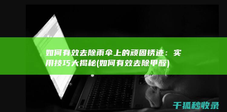 如何有效去除雨伞上的顽固锈迹：实用技巧大揭秘 (如何有效去除甲醛)