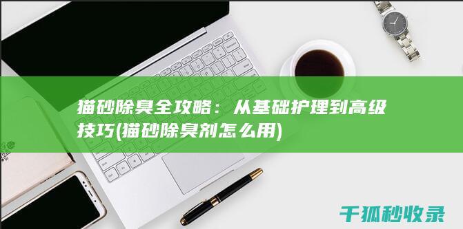 猫砂除臭全攻略：从基础护理到高级技巧 (猫砂除臭剂怎么用)