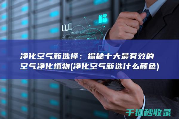 净化空气新选择：揭秘十大最有效的空气净化植物 (净化空气新选什么颜色)