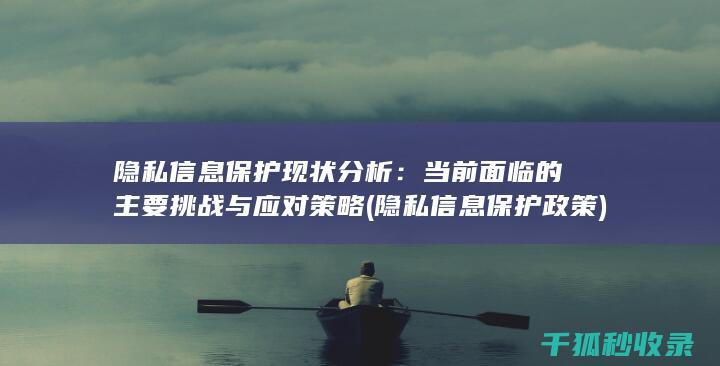 隐私信息保护现状分析：当前面临的主要挑战与应对策略 (隐私信息保护政策)