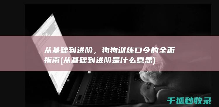 从基础到进阶，狗狗训练口令的全面指南 (从基础到进阶是什么意思)