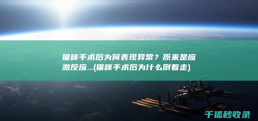 猫咪手术后为什么倒着走