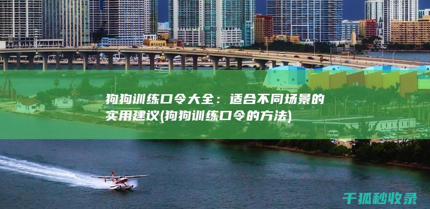 狗狗训练口令大全：适合不同场景的实用建议 (狗狗训练口令的方法)