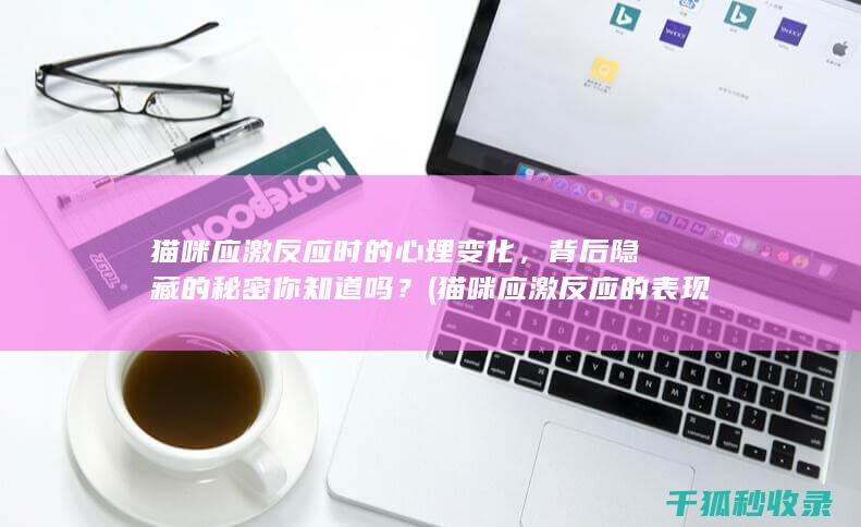 猫咪应激反应的表现和症状