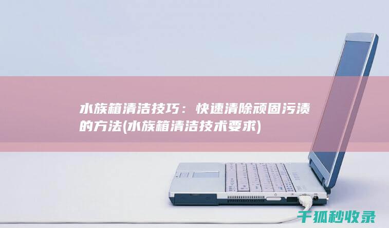 水族箱清洁技巧：快速清除顽固污渍的方法 (水族箱清洁技术要求)