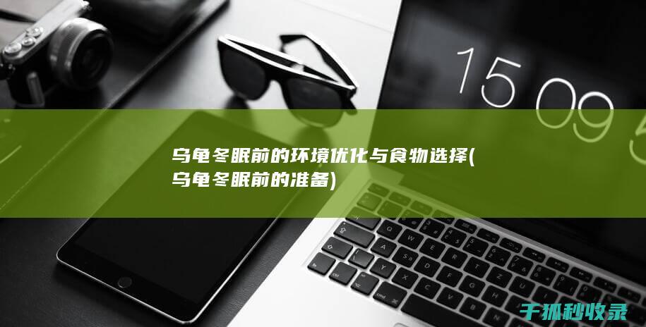 乌龟冬眠前的环境优化与食物选择 (乌龟冬眠前的准备)