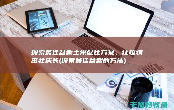 探索最佳盆栽土壤配比方案，让植物茁壮成长 (探索最佳盆栽的方法)