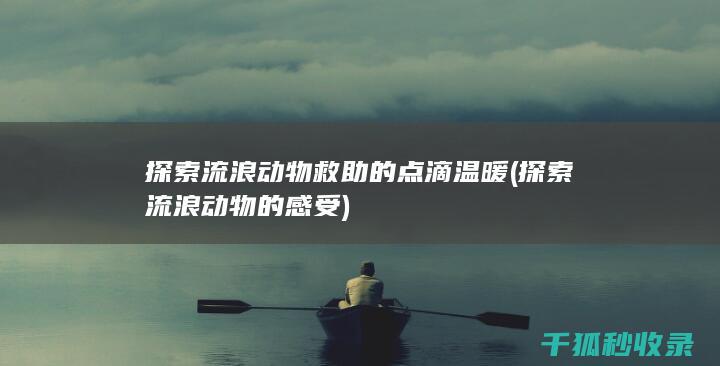 探索流浪动物救助的点滴温暖 (探索流浪动物的感受)