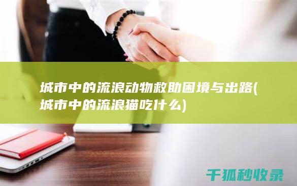 城市中的流浪动物救助困境与出路 (城市中的流浪猫吃什么)