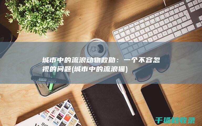 城市中的流浪动物救助：一个不容忽视的问题 (城市中的流浪猫)