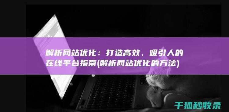 解析网站优化：打造高效、吸引人的在线平台指南 (解析网站优化的方法)