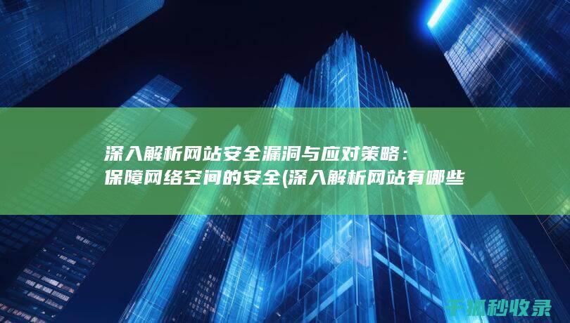 深入解析网站安全漏洞与应对策略：保障网络空间的安全 (深入解析网站有哪些)