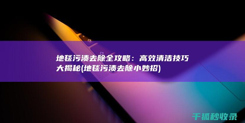 地毯污渍去除全攻略：高效清洁技巧大揭秘 (地毯污渍去除小妙招)