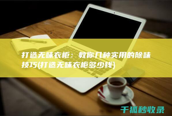 打造无味衣柜：教你几种实用的除味技巧 (打造无味衣柜多少钱)