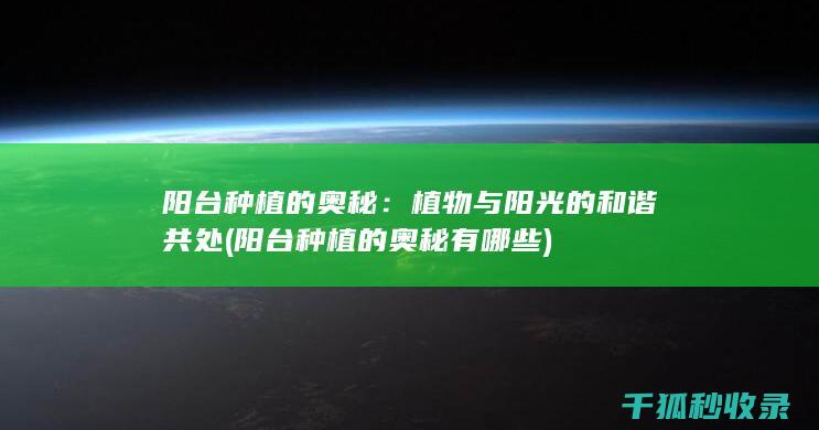 阳台种植的奥秘：植物与阳光的和谐共处 (阳台种植的奥秘有哪些)