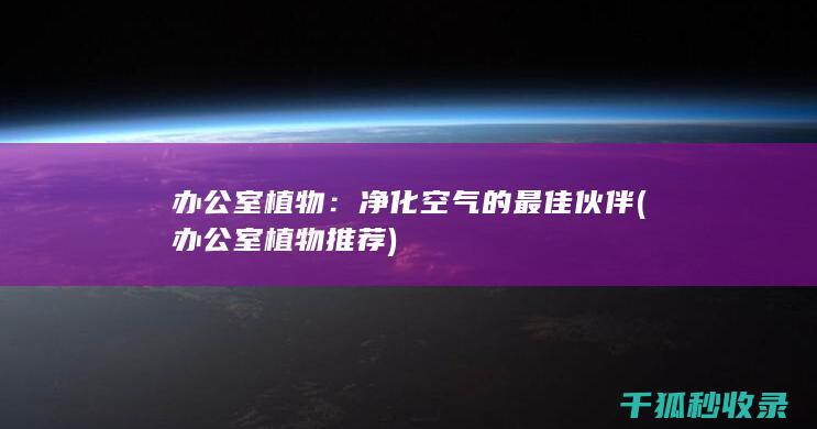 办公室植物：净化空气的最佳伙伴 (办公室植物推荐)