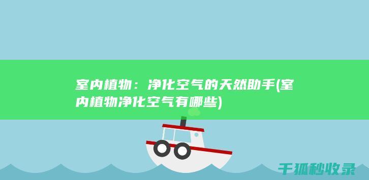 净化的天然助手