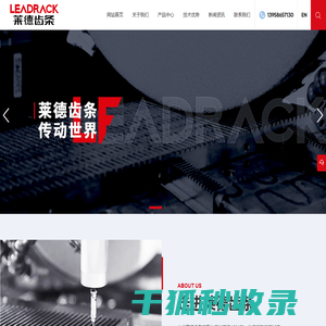台州莱德齿条有限公司