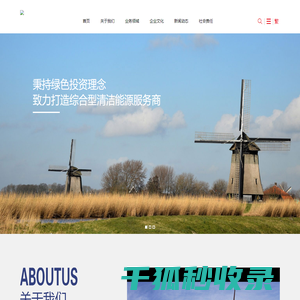 山东国研电力股份有限公司