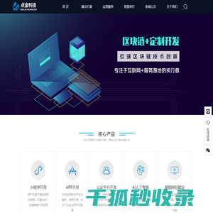 点金网络科技