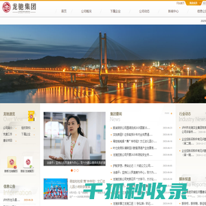 龙驰集团