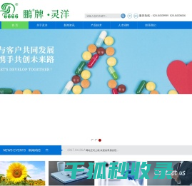 广州市灵洋医疗器械有限公司