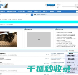 全国宠物领养中心