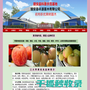 我公司果树苗木基地致力推广名特新优果树苗木