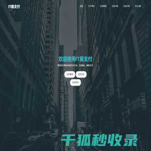 IT易支付