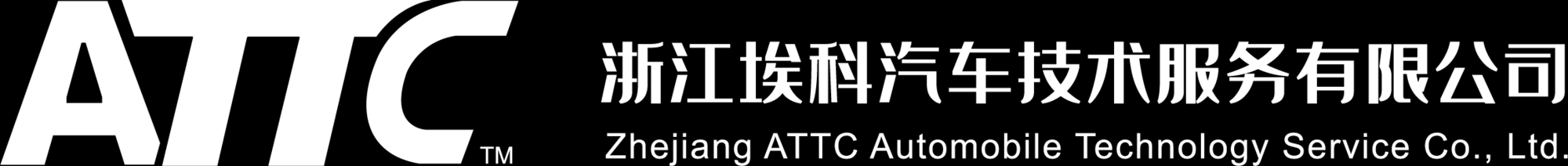 浙江埃科汽车技术服务有限公司